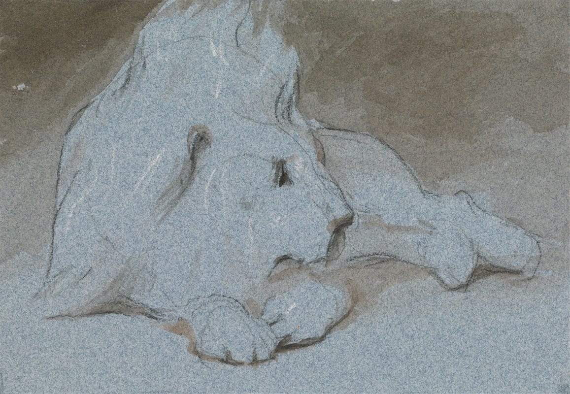 George Jones - A Male Lion, Lying Down and Half Facing Right