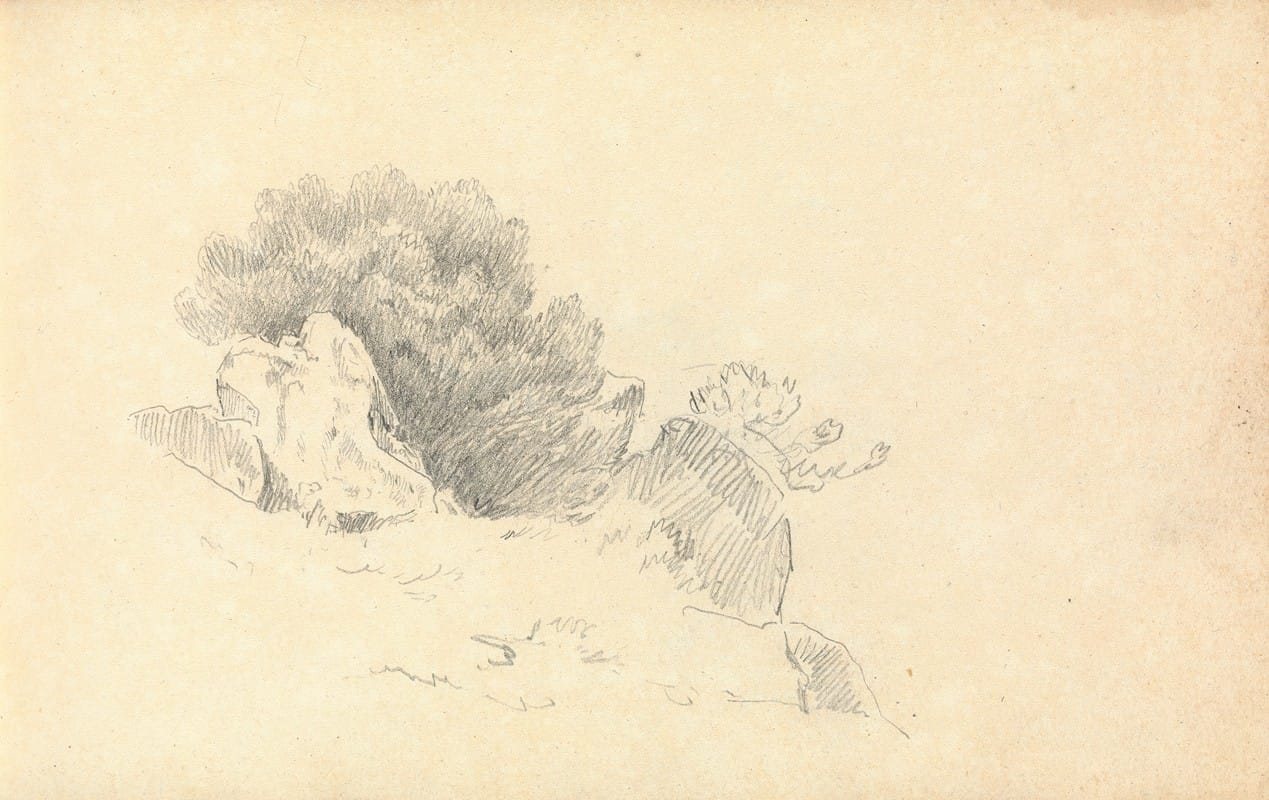Thomas Bradshaw - Sketch of Rocks and Shrubs