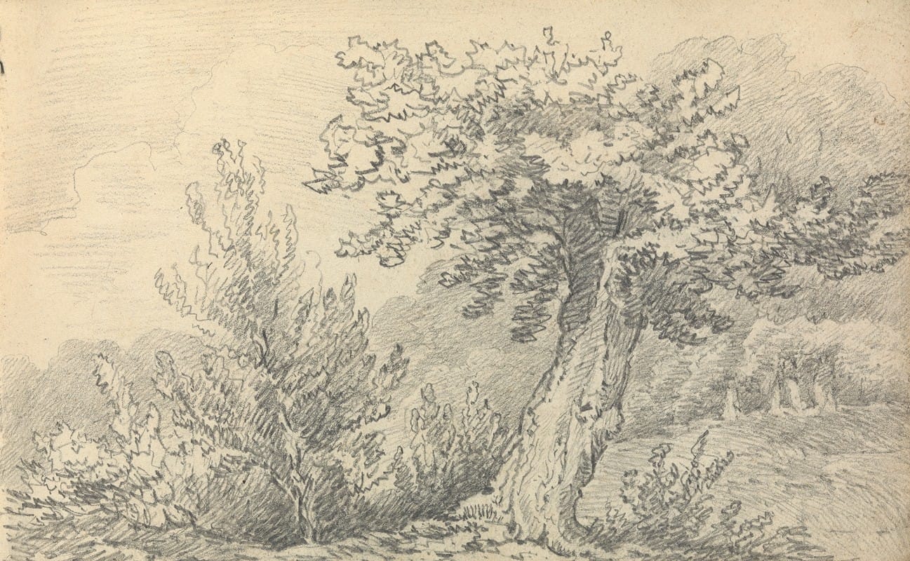 Thomas Bradshaw - Study of Trees and Shrubs