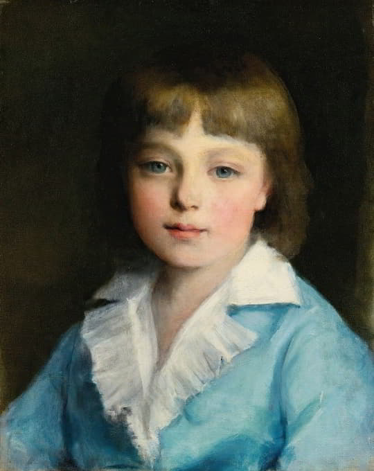 一个穿蓝色衣服的男孩的肖像