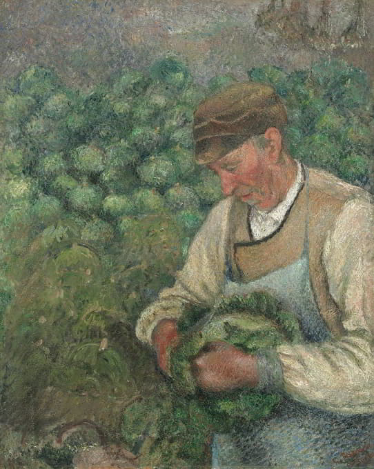 园丁——拿着卷心菜的老农民