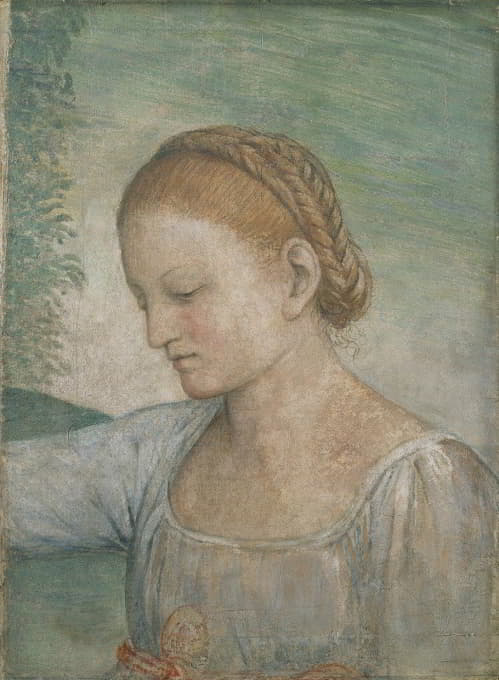 Bernardino Luini - Head of a Girl