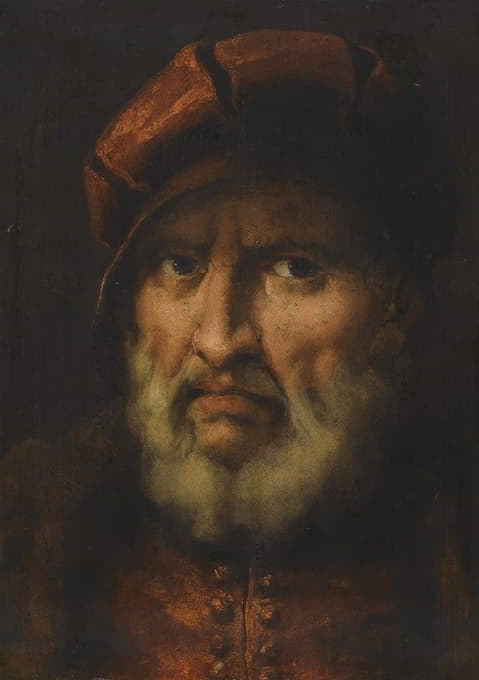 一个留胡子的男人的头，戴着一顶红帽子和一件红衬衫