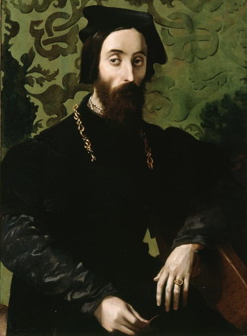 Girolamo Mazzola Bedoli - Portrait of a Musician