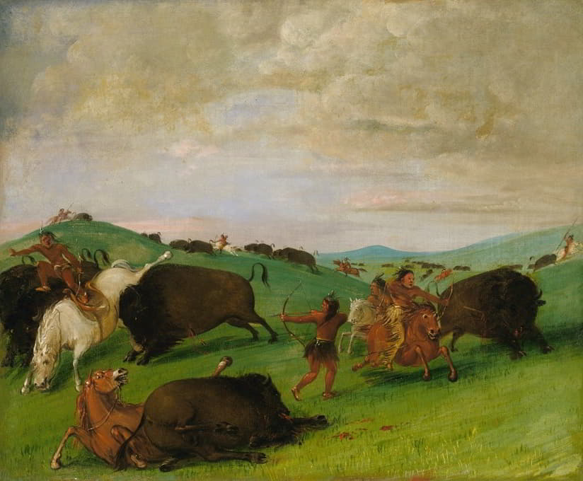 水牛追逐，公牛与人和马搏斗