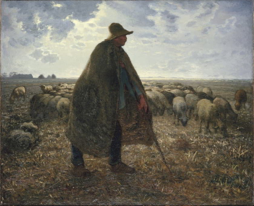 牧羊人照料他的羊群