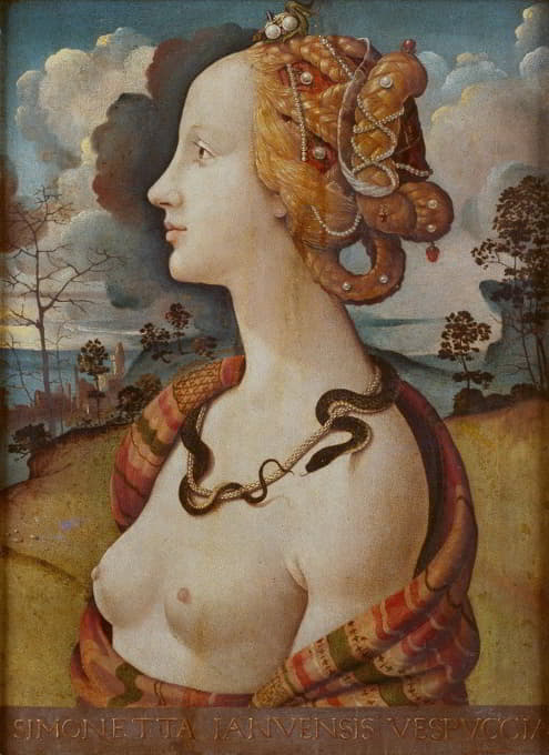 西蒙内塔·维斯普奇的女性肖像