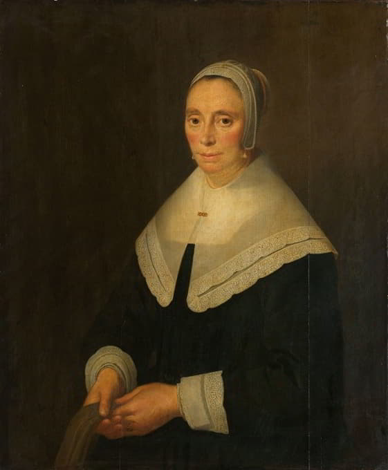 Hendrick Cornelisz. van Vliet - Portrait of a Woman