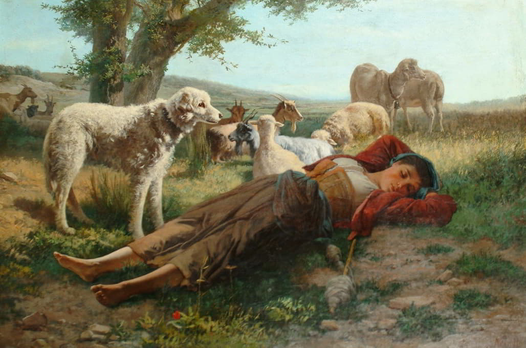 牧羊人的午睡