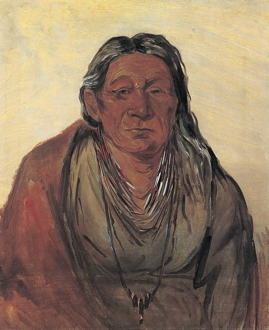 George Catlin - Wah-pe-séh-see, Mother of the Chief