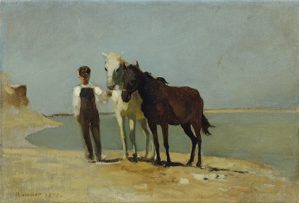 海滩上牵着马的男孩