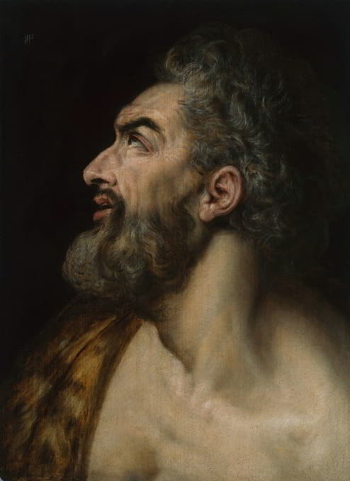 Frans Floris - Study Head of a Bearded Man