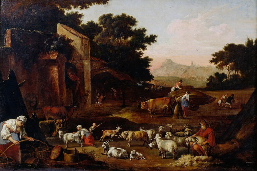Adam Colonia - Sheep Shearing