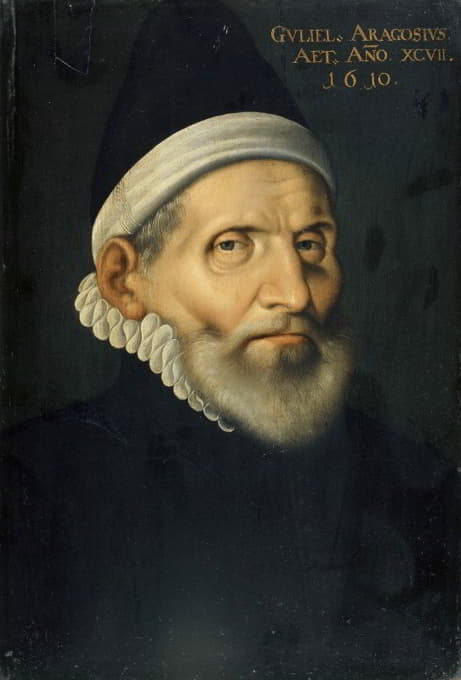 Hans Bock the Elder - Portrait of the Professor of Medicine Wilhelm Aragosius from Toulouse