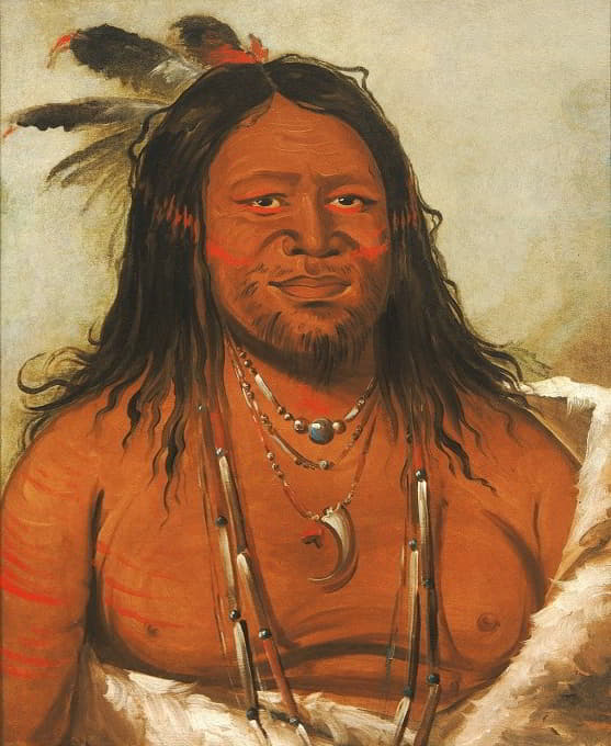 George Catlin - Ta-Wáh-Que-Nah, Mountain of Rocks, Second Chief of The Tribe