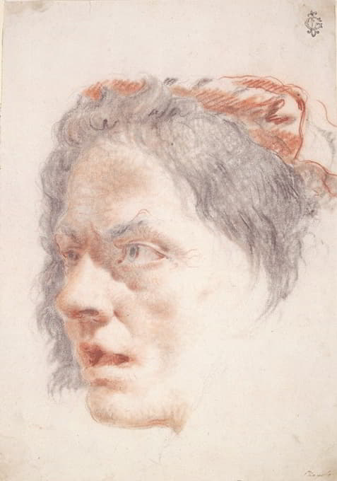 Lorenzo Baldissera Tiepolo - Head of a Woman