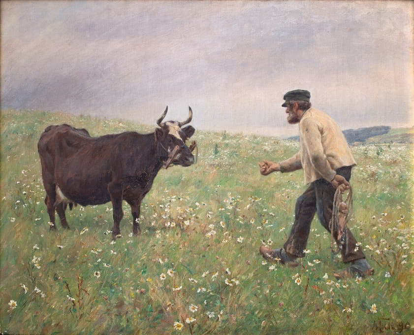 M. Therkildsen - En ko løs