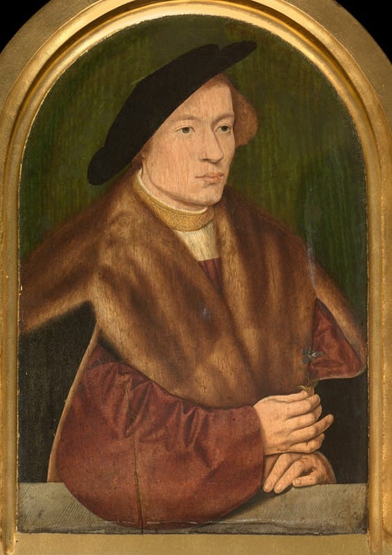 Barthel Bruyn the Elder - Portrait of a Young Man