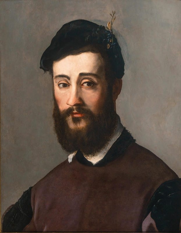 Niccolò dell’Abbate - Portrait of a young bearded man with a black hat