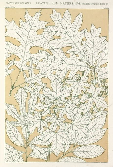 Owen Jones - Leaves from Nature No.4
