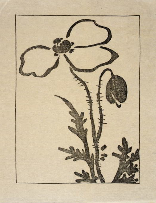 伊普斯维奇印花；罂粟花