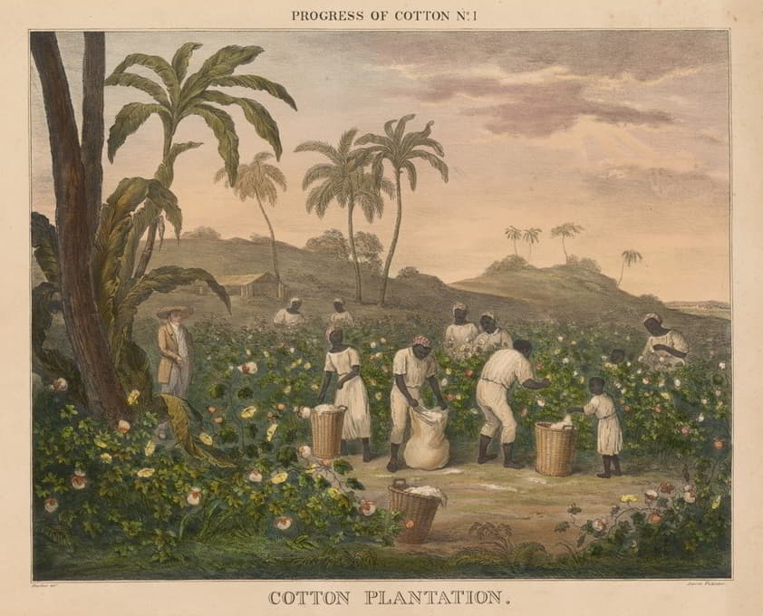James Richard Barfoot - Progress of Cotton; #4 – Carding