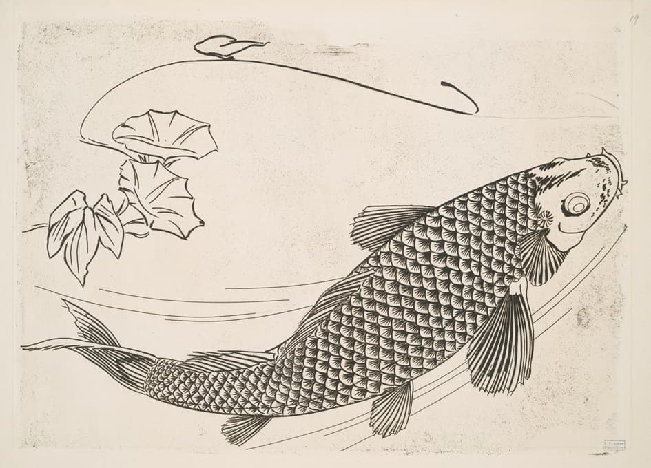 Félix Bracquemond - Grand poisson dans le genre japonais