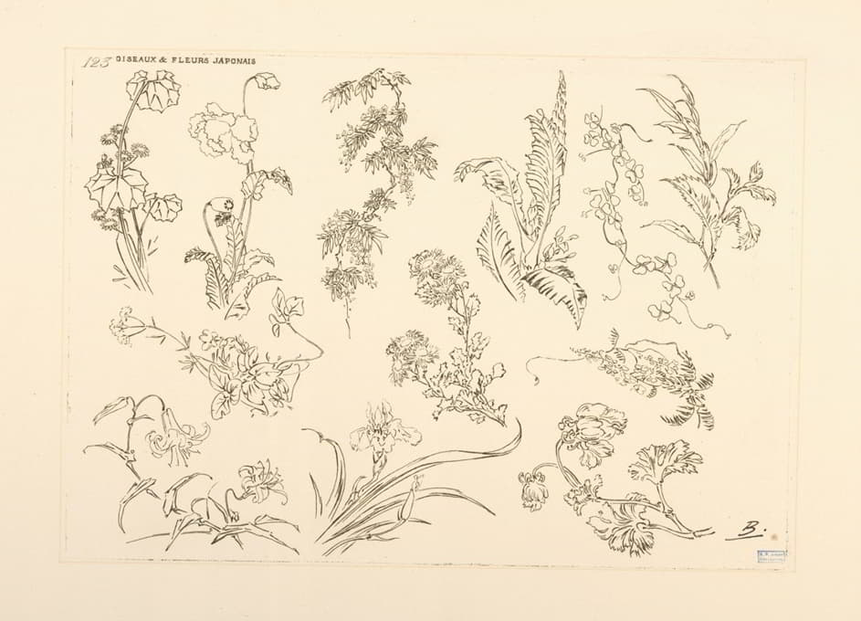 Félix Bracquemond - Oiseaux et fleurs japonais.