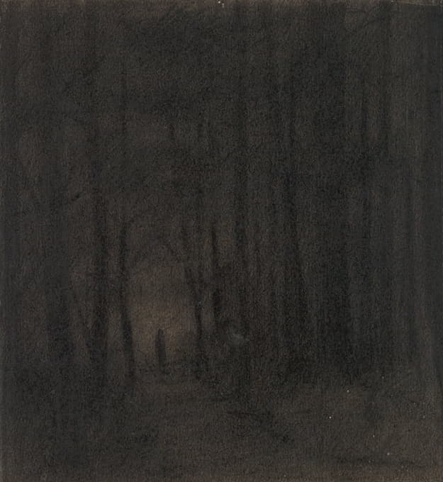 暗色树林中的人影