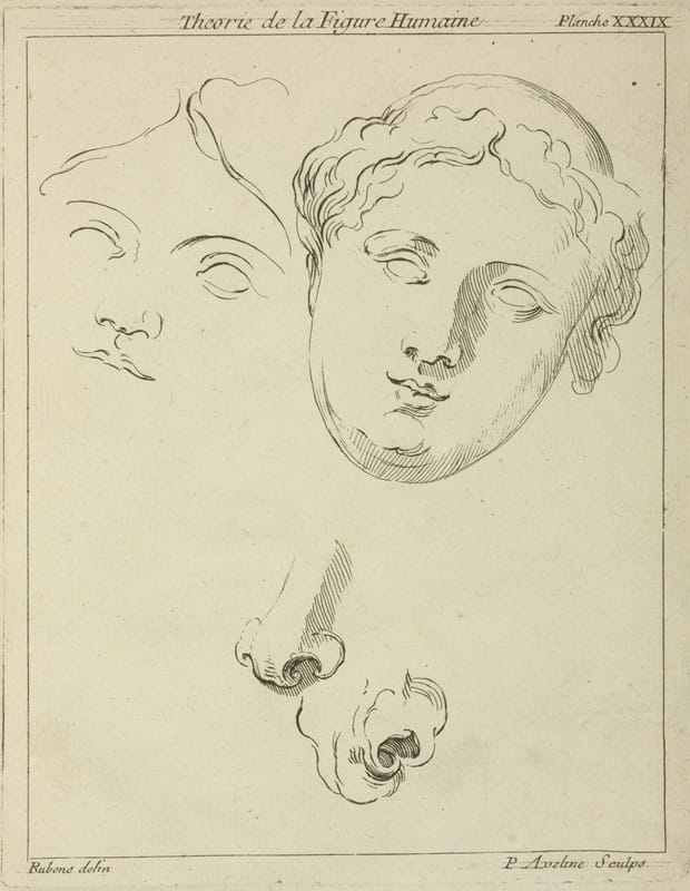 Peter Paul Rubens - Two human female faces and two noses–one human, animal
