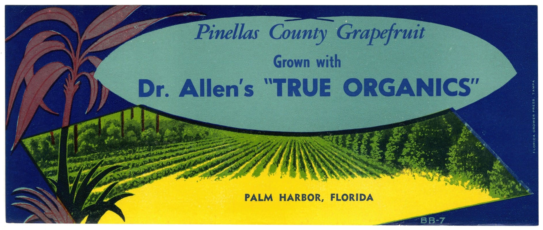 Anonymous - Dr. Allen’s ‘True Organics’ Grapefruit Label