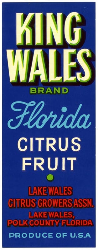 Anonymous - King Wales Brand Florida Citrus Fruit Label