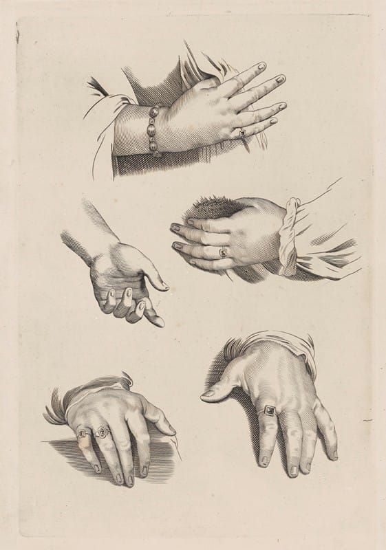 Peter Paul Rubens - Study of Hands