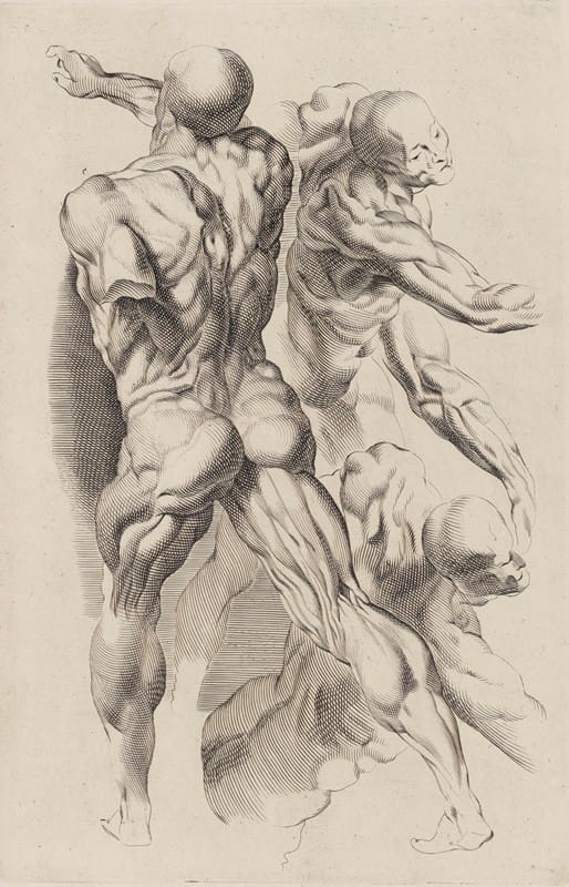 Peter Paul Rubens - Study of Two Naked Men