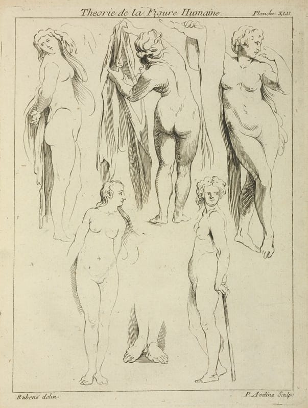 Peter Paul Rubens - Studies of standing female nudes and a pair of feet