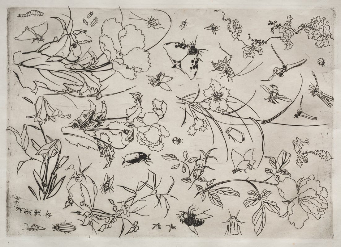Félix Bracquemond - Dinner Service (Rousseau service); Flowers and Insects (no. 15)