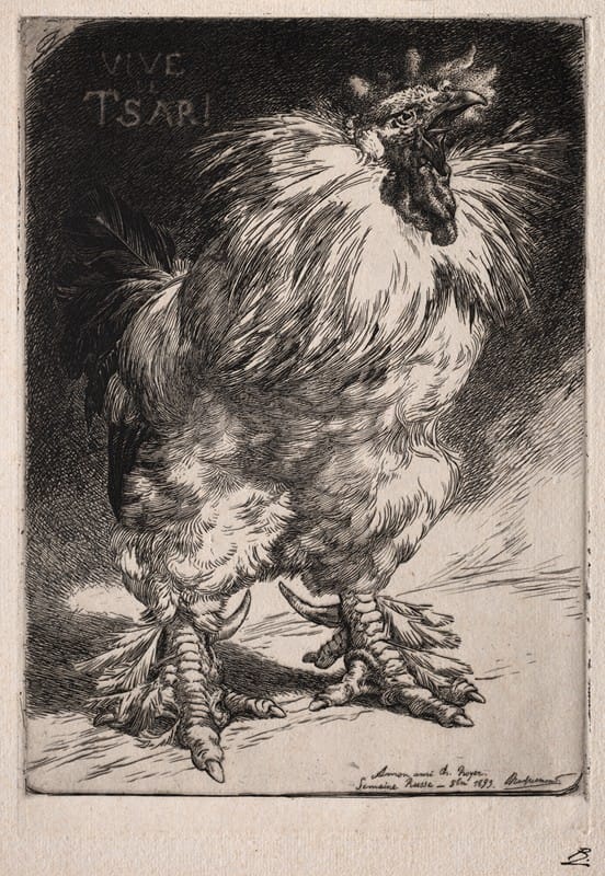 Félix Bracquemond - The French Cock