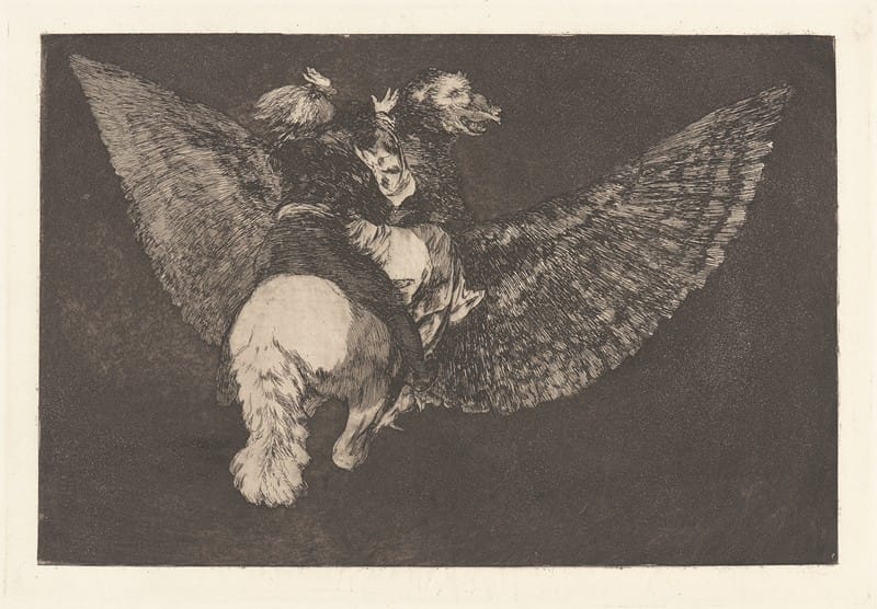 Francisco de Goya - Renounce the Friend Who Covers You with His Beak [Flying Folly] (Reniego al Amigo Que Cubre con las Alas y Muerde con el Pico [Disparate Volante])