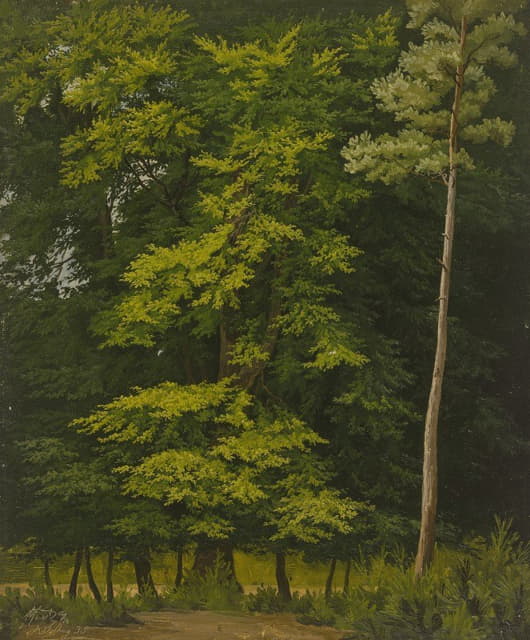 Christian Heerdt - Broadleaf forest (study in oil)
