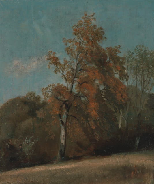 John Constable - Study of an Ash Tree