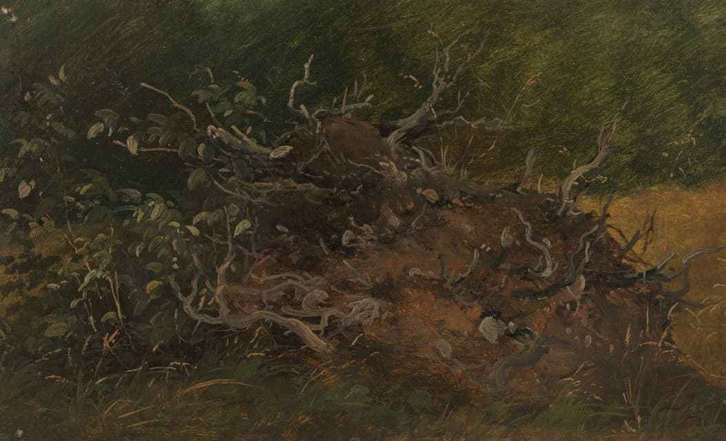 Vilhelm Petersen - Study of a Tree Stump