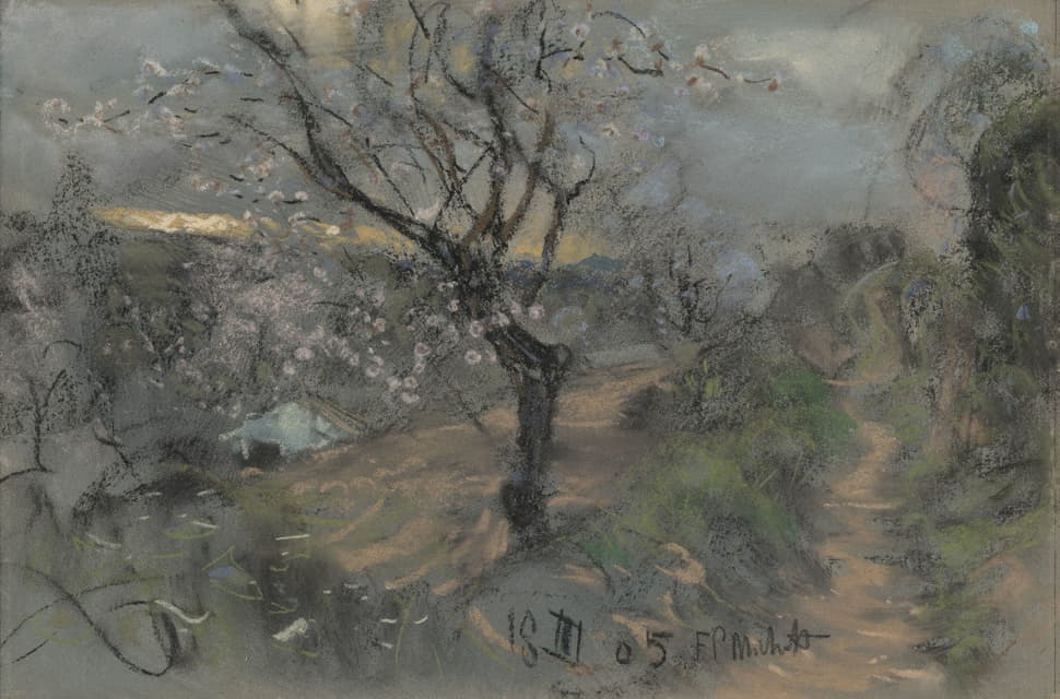阴天下长满盛开的樱桃树的山坡小径