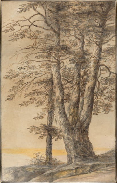 Lucas van Uden - Study of Trees