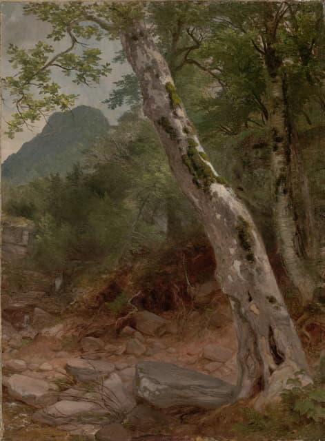 Asher Brown Durand - A Sycamore Tree, Plaaterkill Clove (The Sycamore, Kaaterskill Clove)