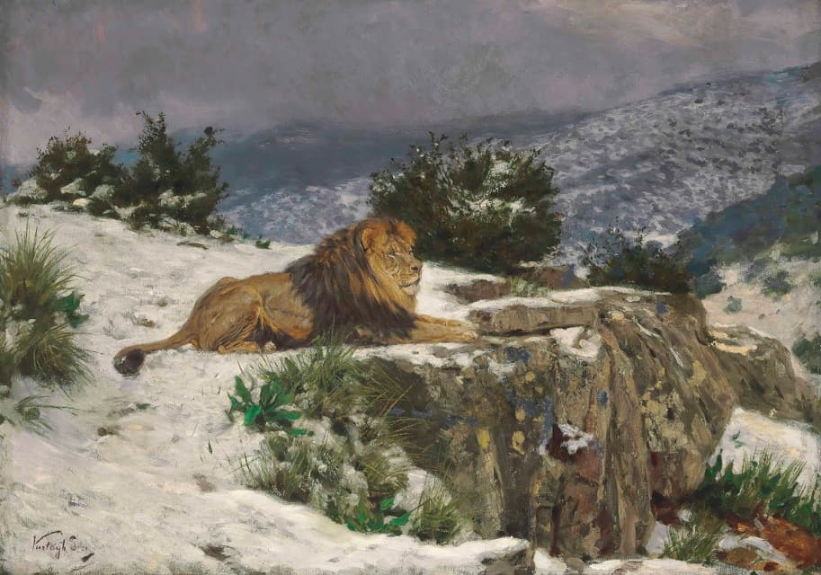 雪地里的狮子