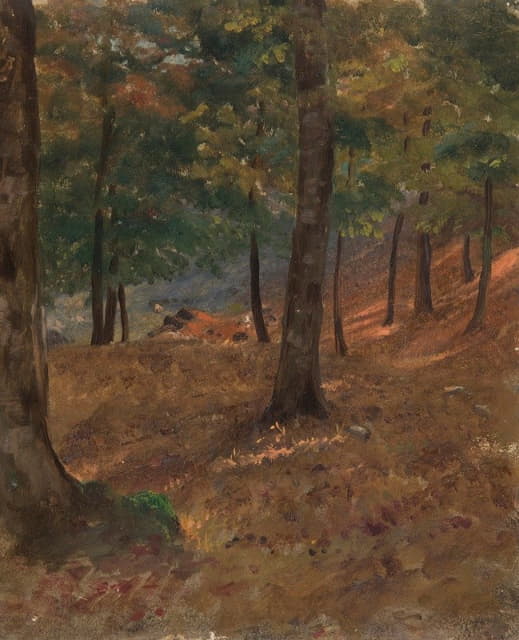 Frederic Edwin Church - Woodland Scene