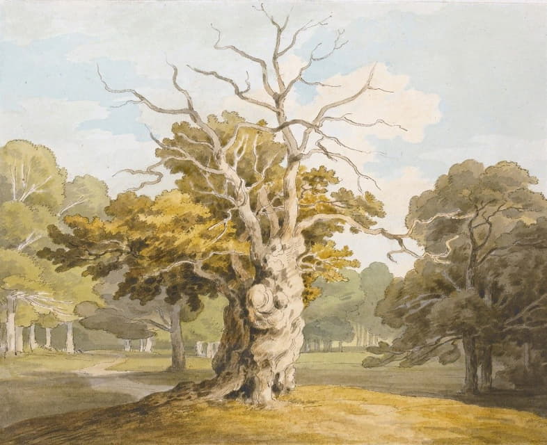 John White Abbott - An Oak At Kedleston Hall, Derbyshire