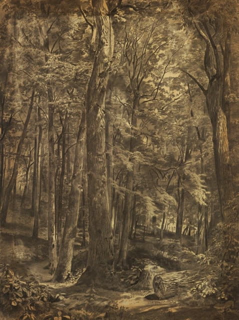William Trost Richards - In The Woods