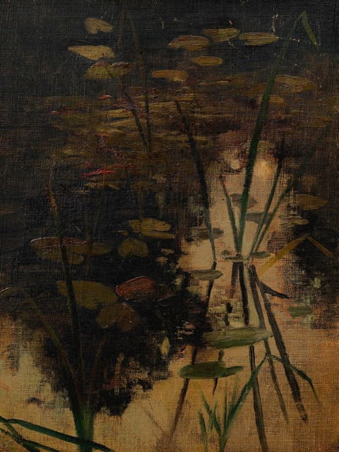 Adolf Ditscheiner - Wasserspiegel eines Teiches mit Pflanzen