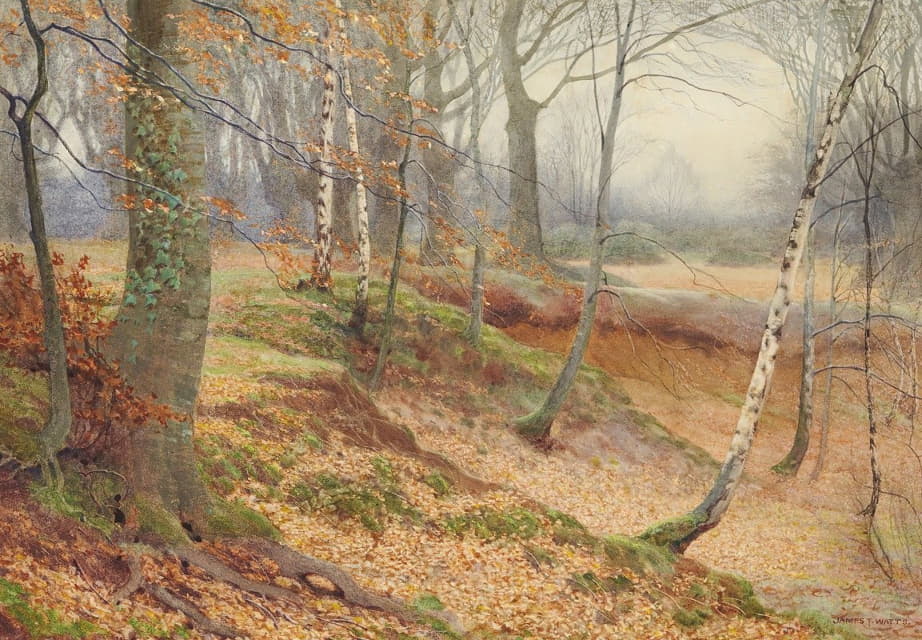James Thomas Watts - Silver Birch and Beech Wood in Autumn